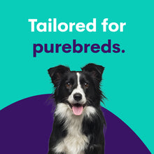 Lade das Bild in den Galerie-Viewer, Purebred Dog Full Breed Profile

