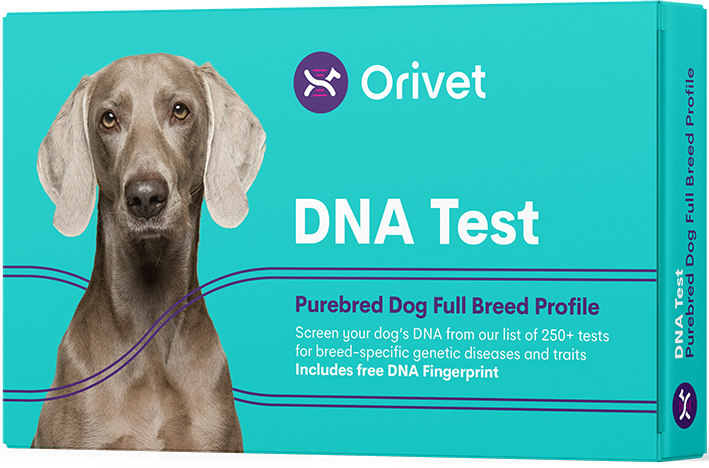 Purebred Dog Full Breed Profile